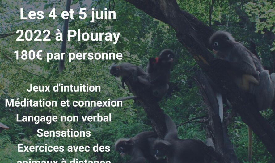 Stage en communication Animale, Plouray 4 et 5 Juin