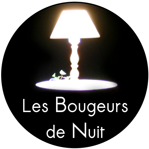 “C’est nous qui brille” Les Bougeurs de Nuit à Malguénac du 18 au 21