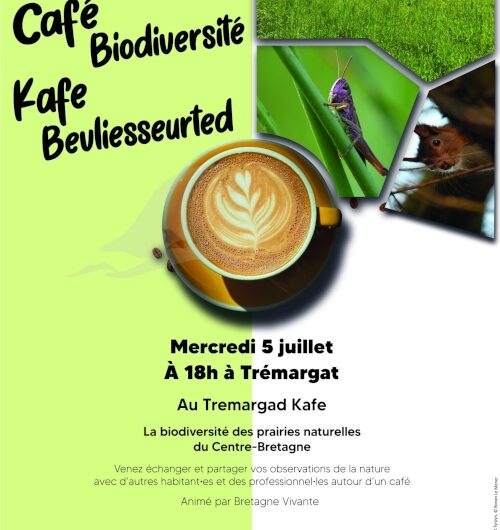 Café biodiversité à Trémargat le 5 juillet