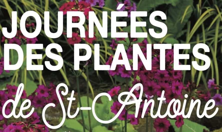 Journées des plantes de Saint-Antoine