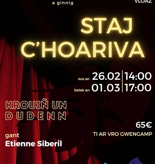 STAJ C’HOARIVA GANT ETIENNE SIBERIL / CIE LA BRODEUSE DE NUIT du 26/02 au 1er/03