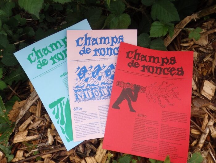 13 juin – Champs de ronces – Mellionnec