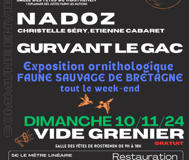 8 et 9 novembre Rostrenen : VIDE GRENIER, MUSIQUES ET EXPO ORNITHOLOGIQUE