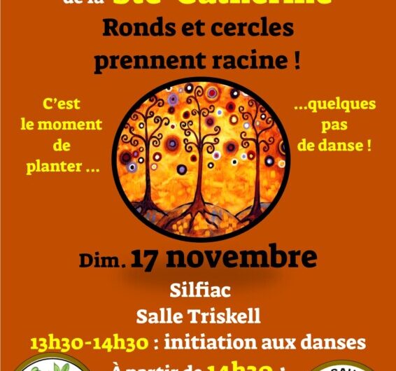 17 nov : P’tit bal des graines de Folkeux à Silfiac