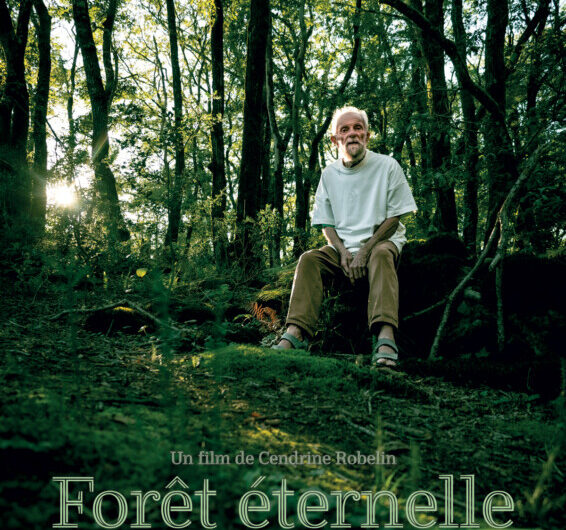 Ciné-Rencontre : “Forêt Eternelle” le 10/05 au Ciné Roch à Guémené-sur-Scorff