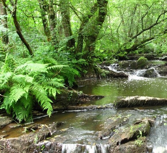 Recours contre le SCoT : le Pays COB a “oublié” la question de la ressource en eau !