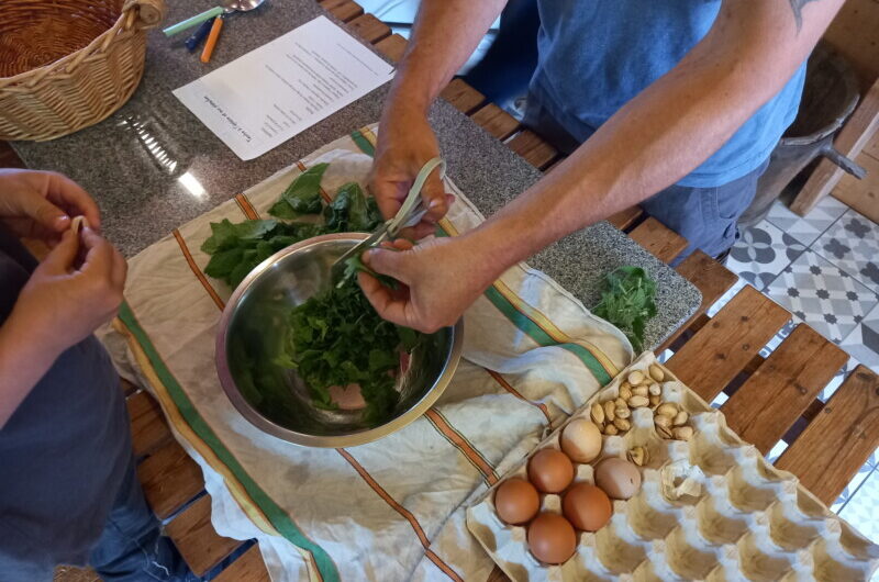 11 juin à Kergrist-Moëlou : Atelier de cueillette et cuisine de plantes sauvages comestibles