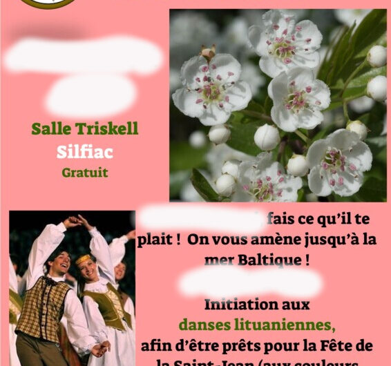 4 juillet, Sainte-Brigitte : p’tit bal folk