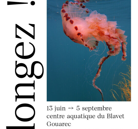 In Cité #10 – Plongez ! Centre aquatique à Gouarec à partir du 13 juin