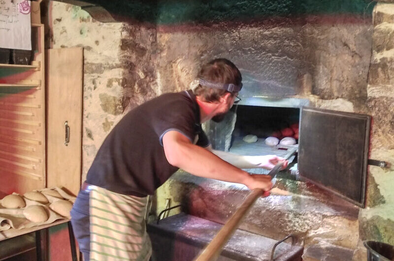 Recherche de Terre à cultiver pour l’installation d’un Paysan Boulanger