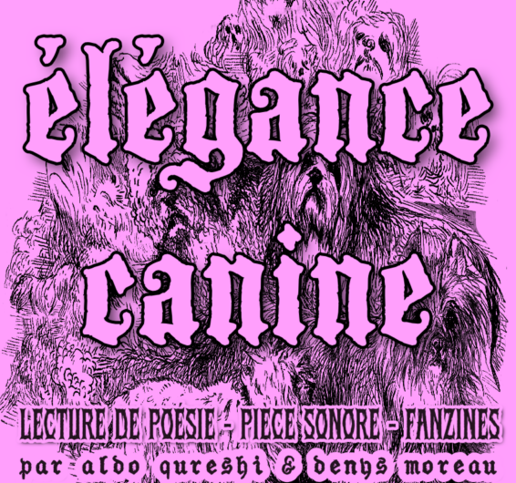 “élégance canine”, poésie/opéra/fanzine, le 21 juin à Mellionnec, 17h