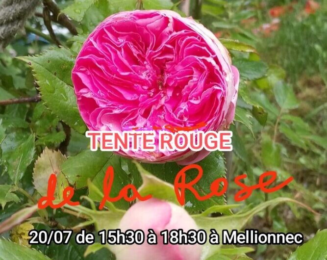 Mellionnec, le 20 juillet : TENTE ROUGE DE LA ROSE