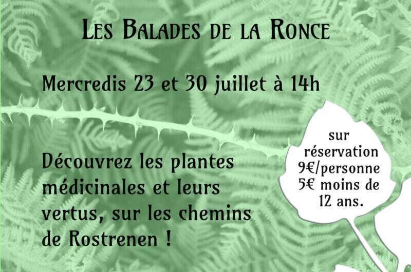 Balades plantes médicinales avec la Ronce – 23 et 30 juillet à Rostrenn