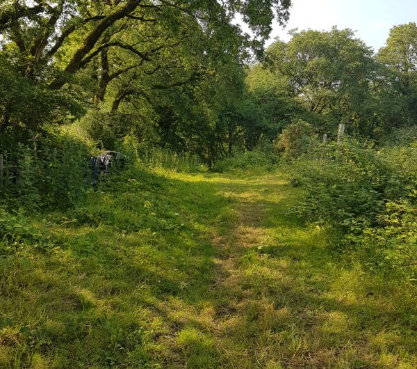 à Priziac, cherche éco-location avec enfant