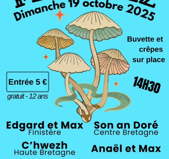 Fest Deiz à Plouray le 19 octobre 2025