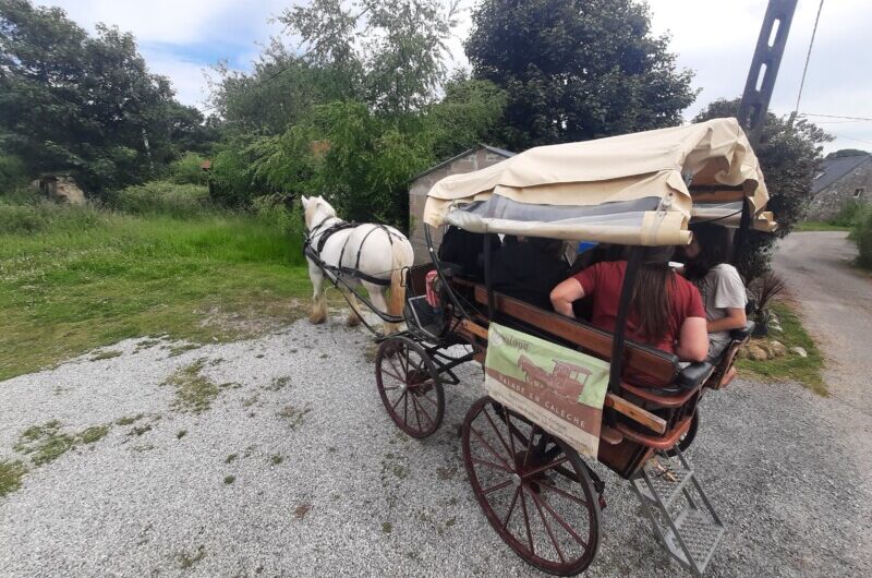CH véhicule en prêt ou a louer pour 1 semaine