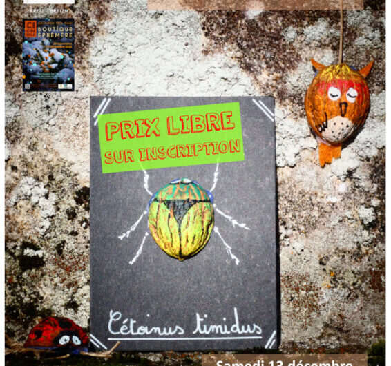 Déco à la noix… à Kergrist-Moëlou le 13 décembre