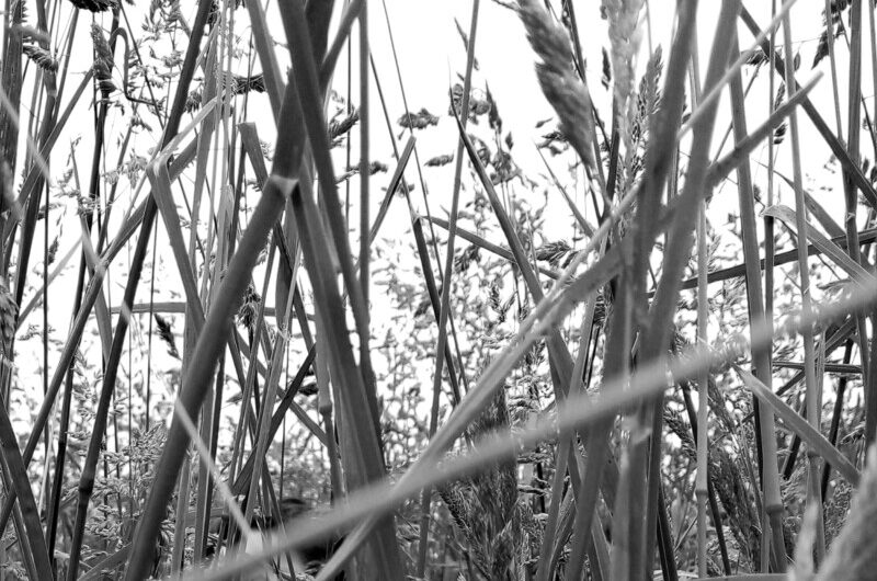 4 décembre : “ATTENDU QUE” – Le Temps de vivre – Le Faouët – 19h