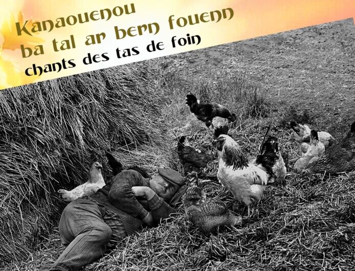 Concert de Didier Dréo – Vendredi 19 décembre à 18h à la Ronce à Rostrenen !