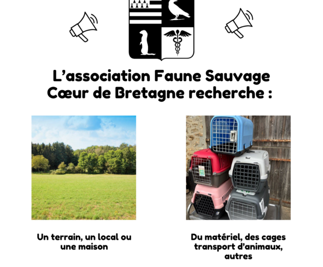 Appel à soutien soins faune sauvage