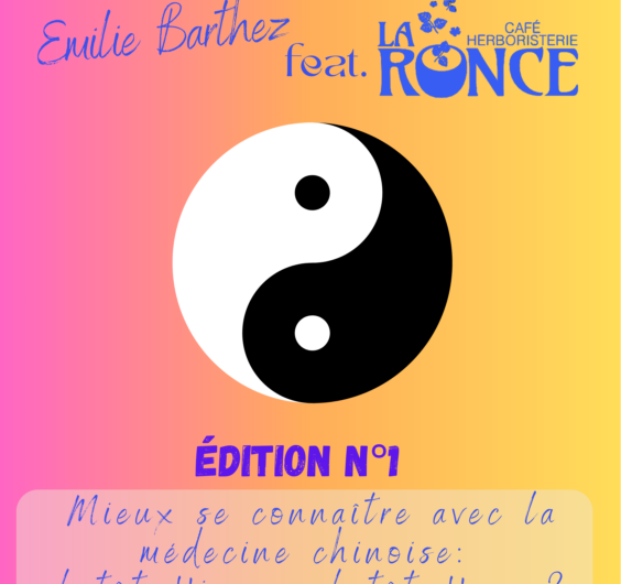 Samedi 17/01 – La Ronce Rostrenen – Tisane et Médecine Chinoise #1 : plutôt Yin ou plutôt Yang ?