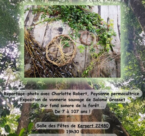 “La Forêt et l’être humain, un lien à retisser”, Samedi 28 Février, 19h30 à la salle des fêtes de Kerpert