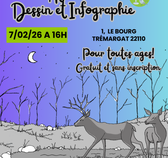 Le 7 février à Trémargat : atelier dessin et infographie