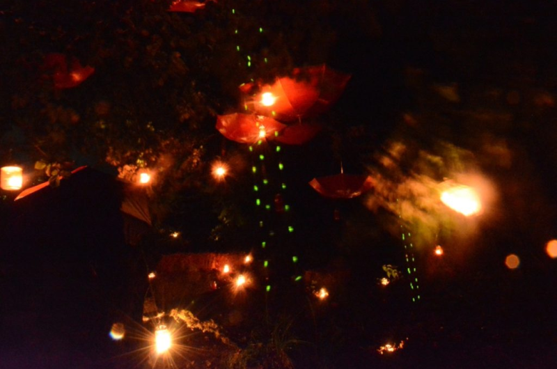 Les Bougeurs de Nuit sont en émoi ! Événement exceptionnel le 28 février