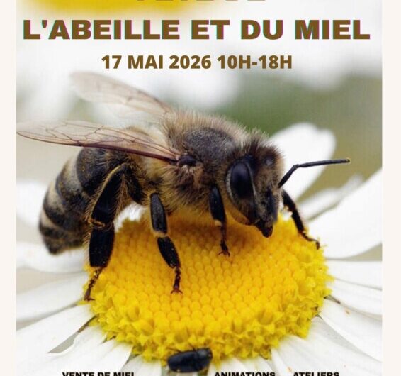 Maël-Carhaix : la Fête de l’Abeille et du Miel le 17 mai de 10h à 19h