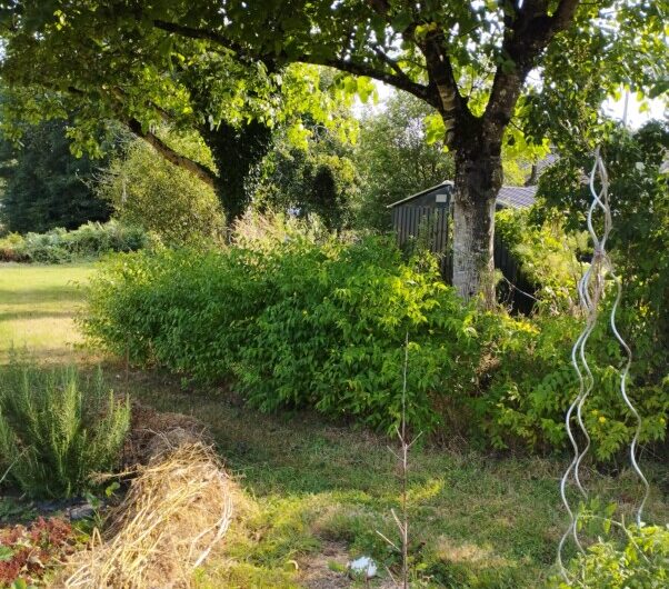 Tirage de cartes ésotériques vendredi 17 avril dès 18h- La Place des Ami.e.s- Botcanou à Glomel