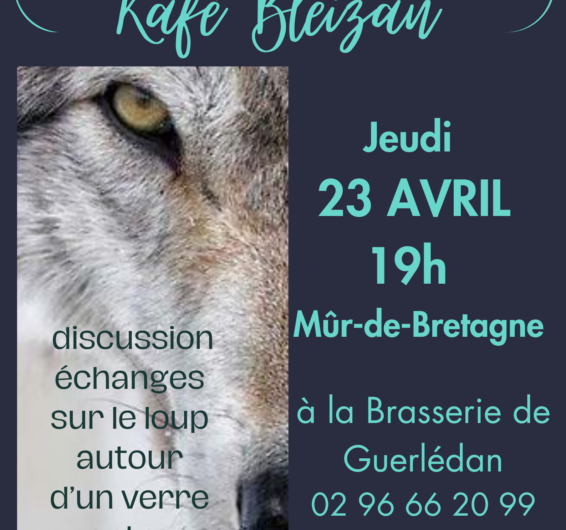 Kafe Bleizhañ / café entourloup – 23 avril – 19h – à la brasserie de Guerlédan – Mûr-de-Bretagne