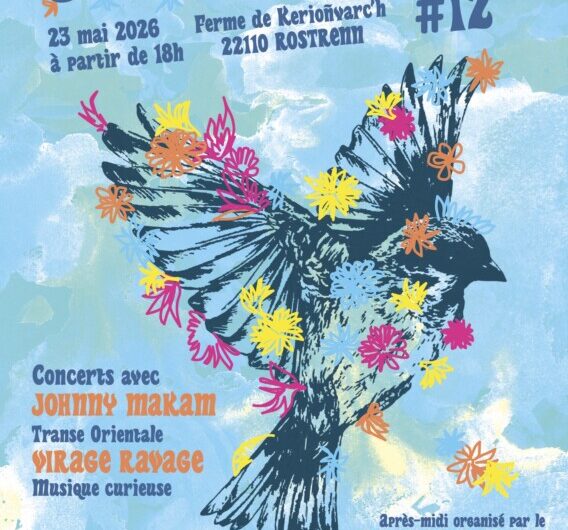 Samedi 23 mai : Serr’ Party #12 à Rostrenen