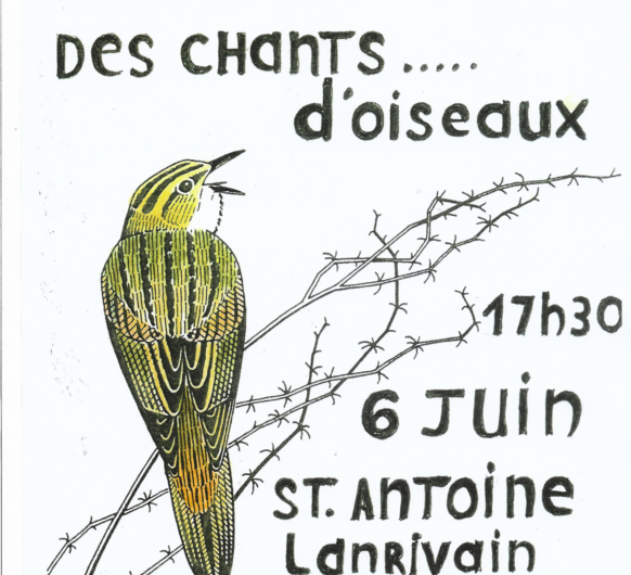 PETITE BALADE CURIEUSE A L’ECOUTE DES CHANTS D’OISEAUX le 6 juin à Lanrivain