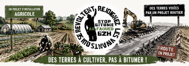 12 hectares disponibles au Faouët pour un projet d’installation agricole