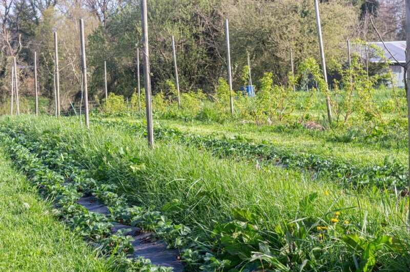 Le collectif cherche à s’agrandir ! à Pont-Melvez