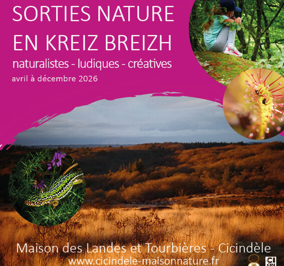 Le 19 août, LES BRUITS DE LA NUIT, Sortie Nature, Trémargat