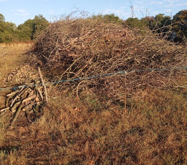 Broyage de branches