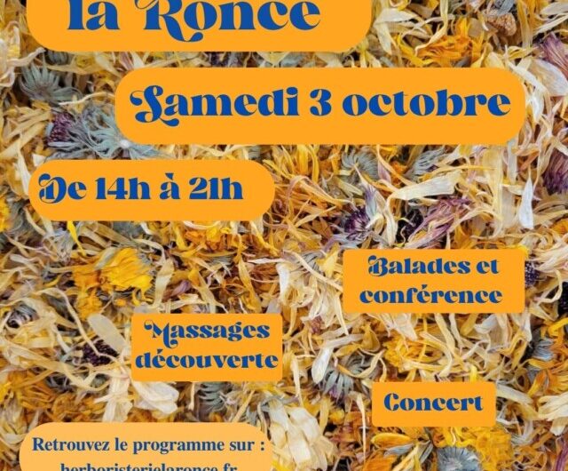 Samedi 3 oct. – Fête de la Ronce à Rostrenen