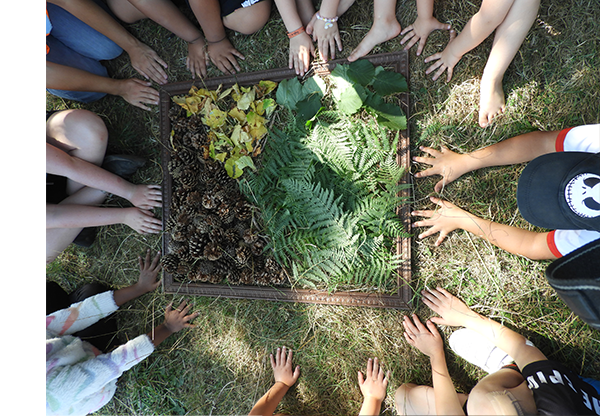 Le 22 oct, sortie créative : LAND ART – Saint-Nicolas-du-Pélèm
